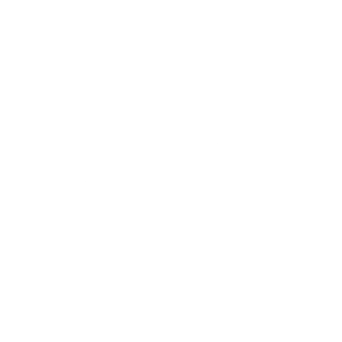 Vest Truck Carosari