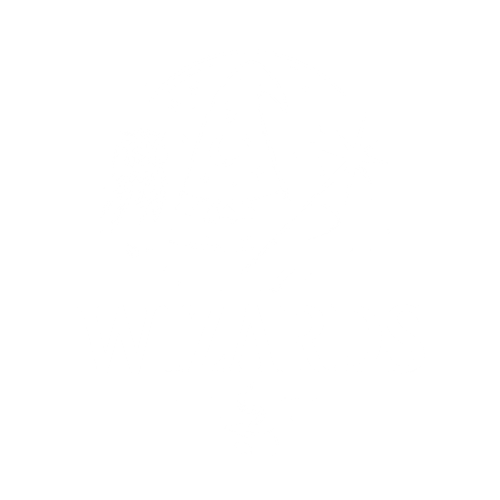 Wizards